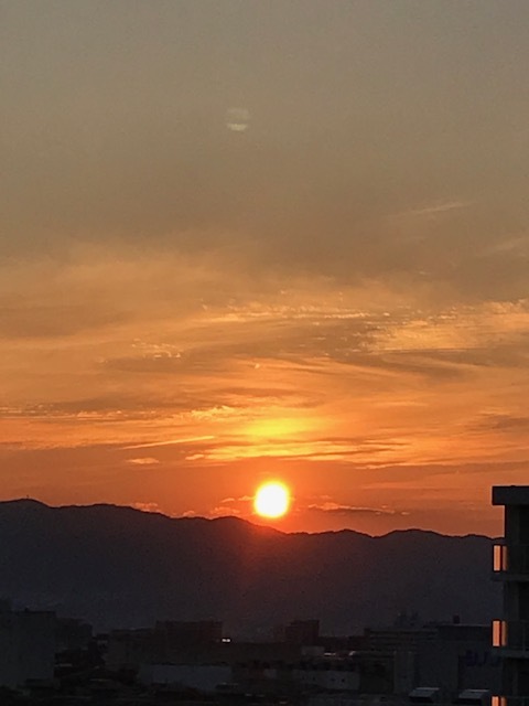 お日様_f0204295_12592823.jpg