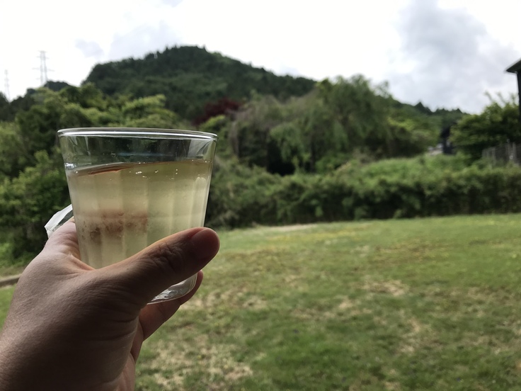 今日の草抜きセラピーで。_c0212604_22203112.jpg