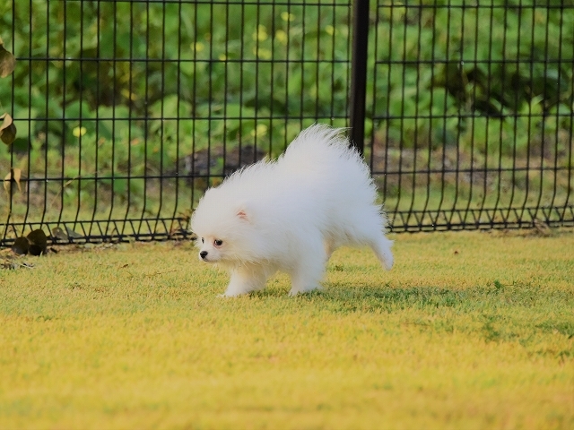 わたしの弱点_d0360206_23045930.jpg