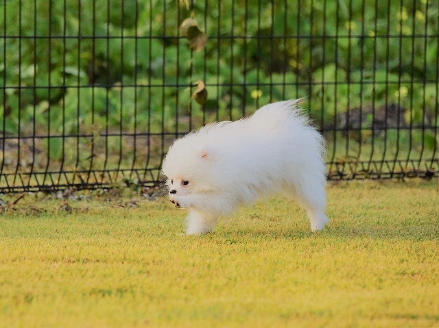 わたしの弱点_d0360206_23050326.jpg