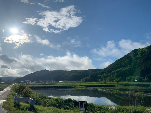 雨上がり♪_f0051306_16243464.jpg
