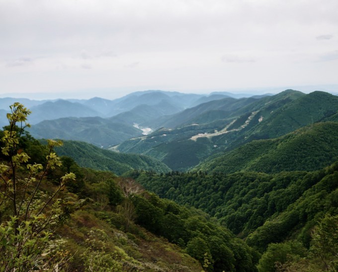 今日は金剛堂山の山開き…百瀬川沿いの急登コースにチャレンジしました_d0265607_18293816.jpg