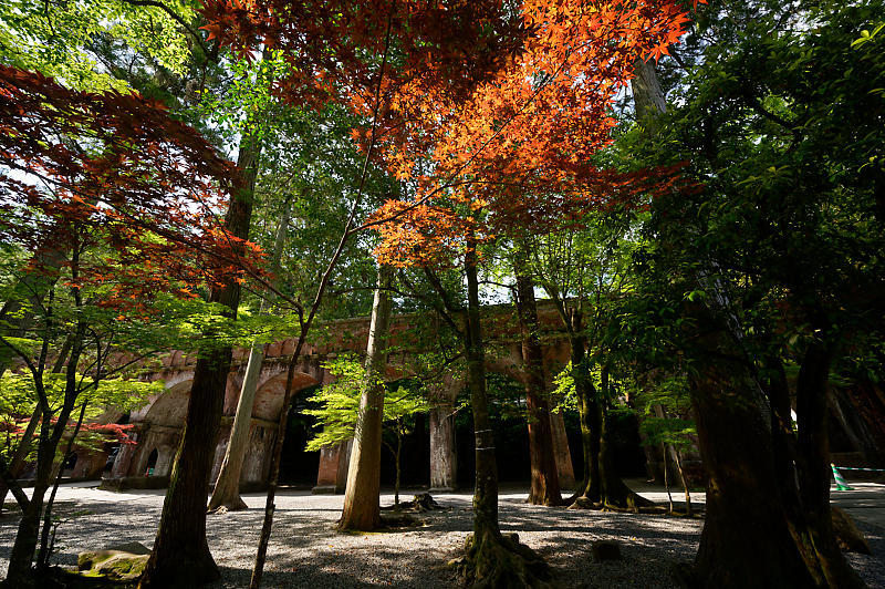 真緑巡り・南禅寺_f0032011_19384260.jpg