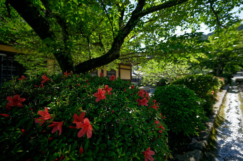 真緑巡り・南禅寺_f0032011_19384317.jpg