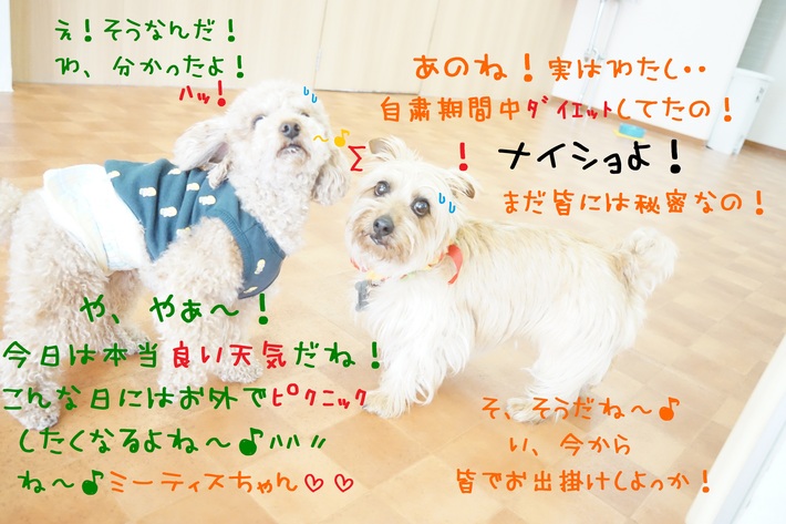 健康的な体を取り戻そう( ✧Д✧) _d0220513_14292865.jpg