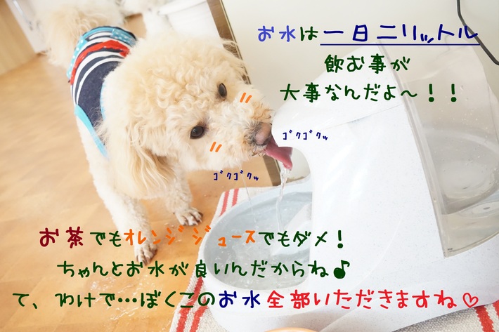 健康的な体を取り戻そう( ✧Д✧) _d0220513_14301861.jpg