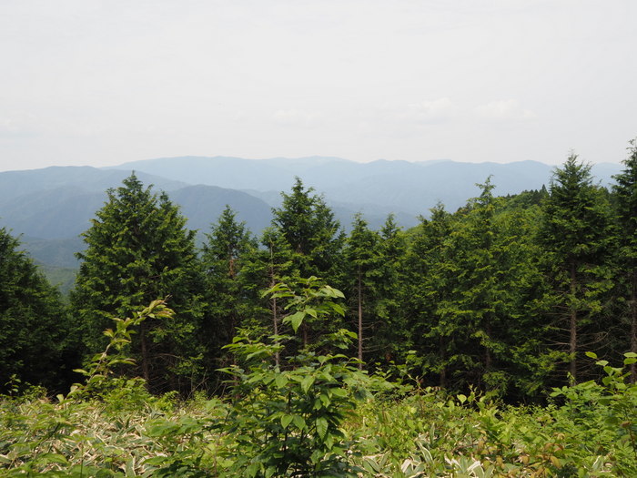 天上山登山_c0116915_00110796.jpg