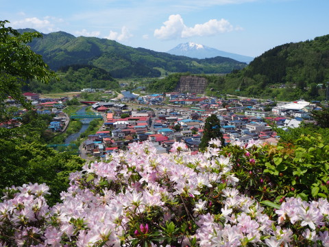 茶臼山公園のつつじ(大鰐町)*2020.05.26_b0147224_18512266.jpg