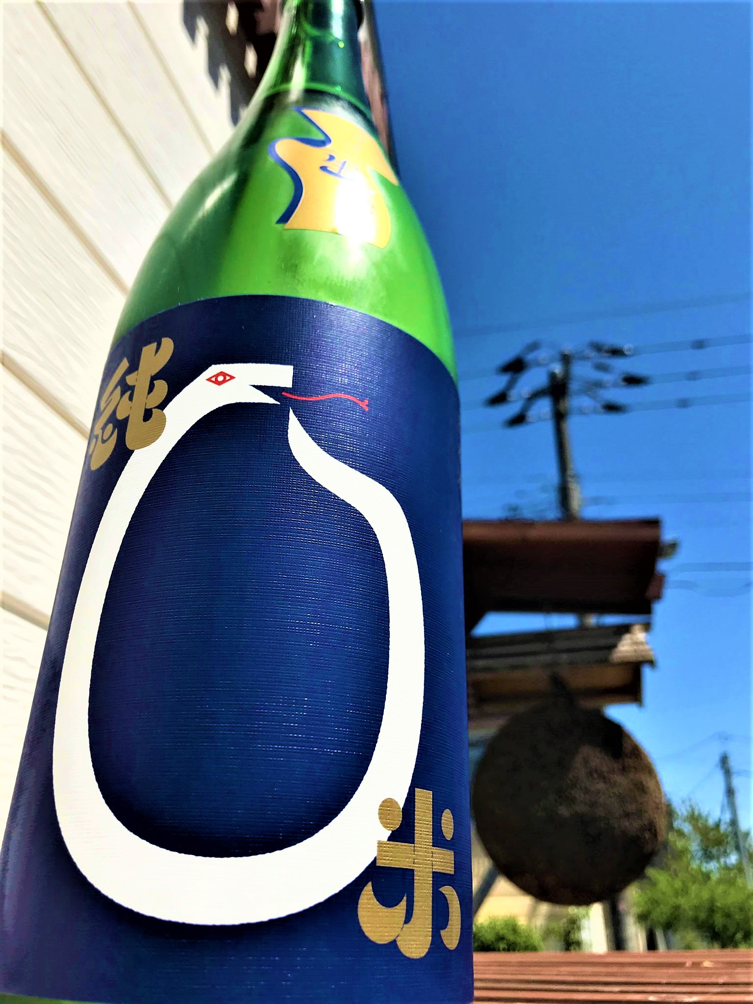 【日本酒】北の錦🐍特別編『白蛇LABEL』純米 無濾過生原酒 北雫✨仕込み 特別限定蔵出し 令和1BY🆕_e0173738_1735372.jpg