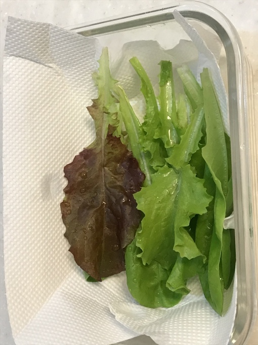 土日は断捨離とゴルフ?自家菜園の野菜_b0100062_18255418.jpeg