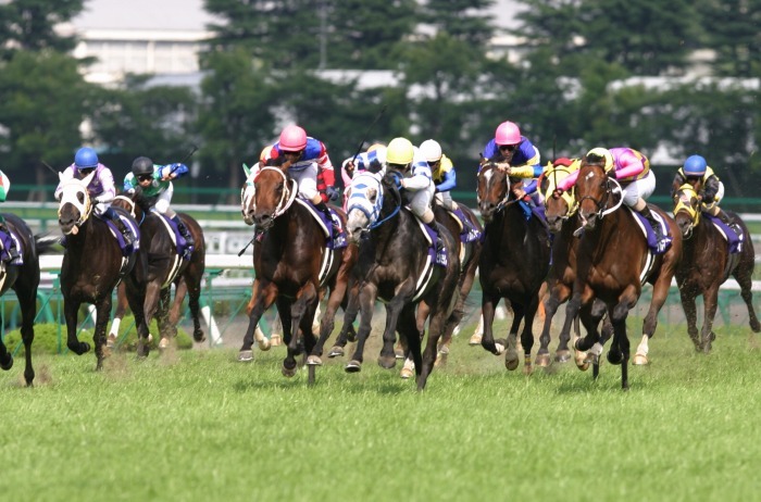 ハーツクライ　現地単勝馬券　新馬競走　2004/1/5　京都4レース ハーツクライ 現地単勝馬券 新馬競走 2004/1/5 京都4レース 2025