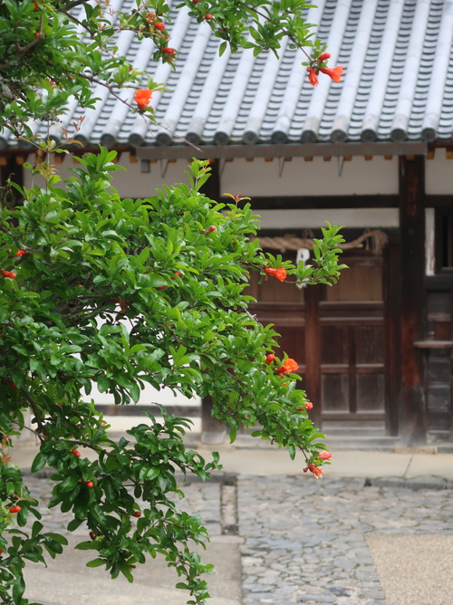 陶板のトレイ_b0113868_1720099.jpg