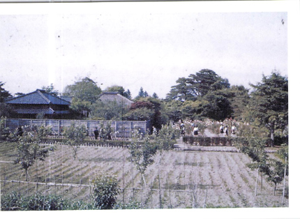 懐かしの写真2 昭和15年_f0168873_10451221.jpg