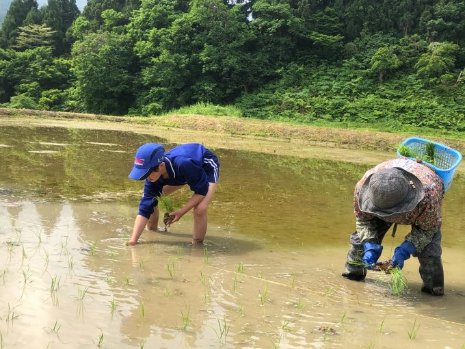 コイの田んぼの稲作活動２０２０_d0182179_14390194.jpg
