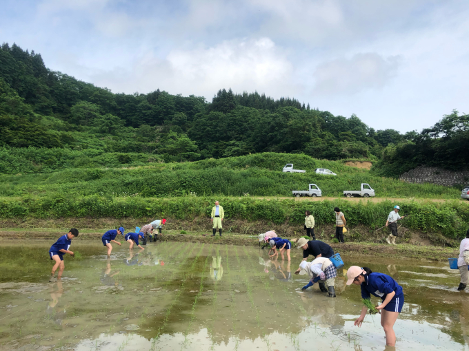 コイの田んぼの稲作活動２０２０_d0182179_14391578.jpg