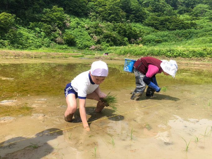 コイの田んぼの稲作活動２０２０_d0182179_14411496.jpg