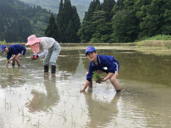 コイの田んぼの稲作活動２０２０_d0182179_14462401.jpeg