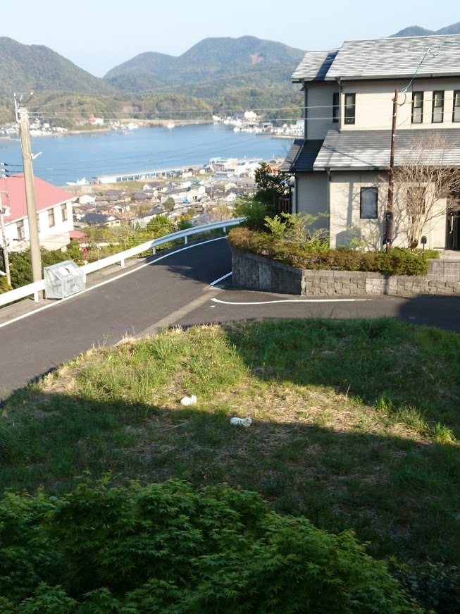 チロさんへ_f0197985_15235260.jpg