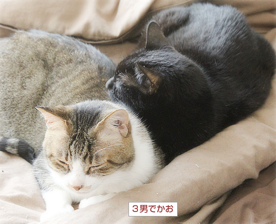しあわせの重み_a0389088_09551937.jpg