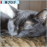 しあわせの重み_a0389088_09551968.jpg
