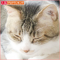 しあわせの重み_a0389088_09552004.jpg