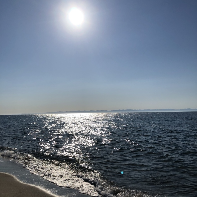 海は広いな大きいな はなのね