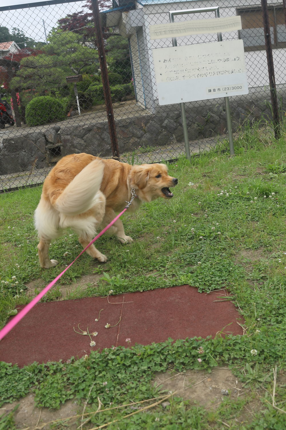 視力検査♪_b0275998_12580172.jpg