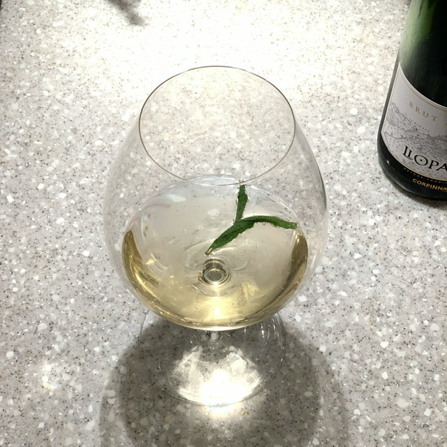 庭と夜の楽しみ_e0404027_21124165.jpeg