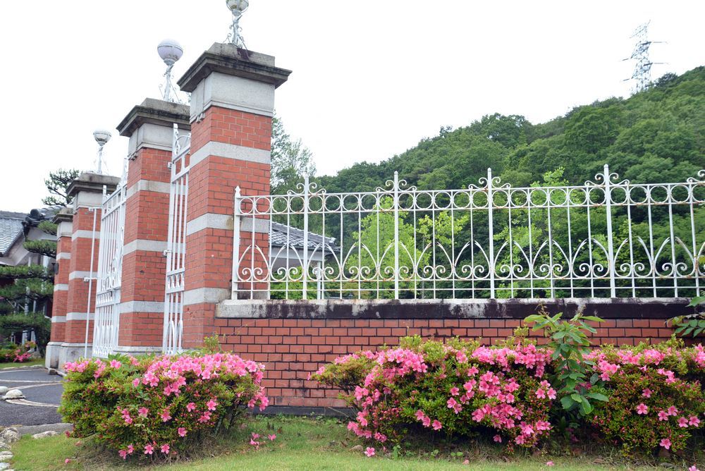 5月末に咲くサツキの花 正門周辺_e0373930_19504609.jpg