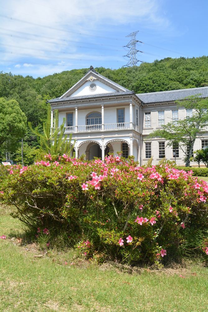 5月末に咲くサツキの花 正門周辺_e0373930_20003985.jpg