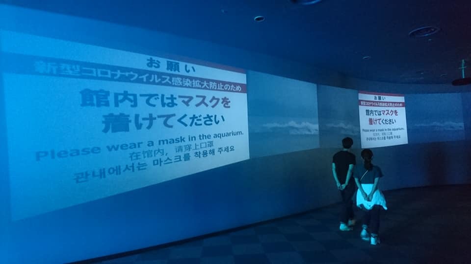 名古屋港水族館へ 愛知 名古屋を中心に活動する女性ギタリストせきともこのブログ