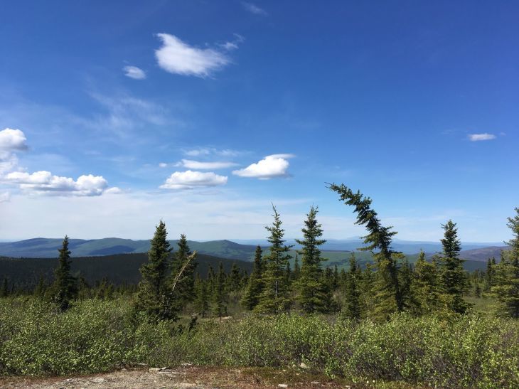 ウィッカシャム・ドーム・トレイル　Wickersham Dome Trail_b0135948_15251949.jpg
