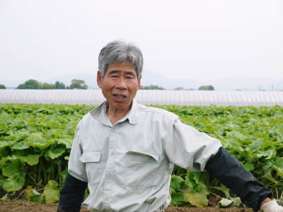 熊本県菊池市産!有機栽培の水田ごぼう 今まさに最旬食材!期間限定商品のためご注文はお急ぎ下さい!_a0254656_18184961.jpg