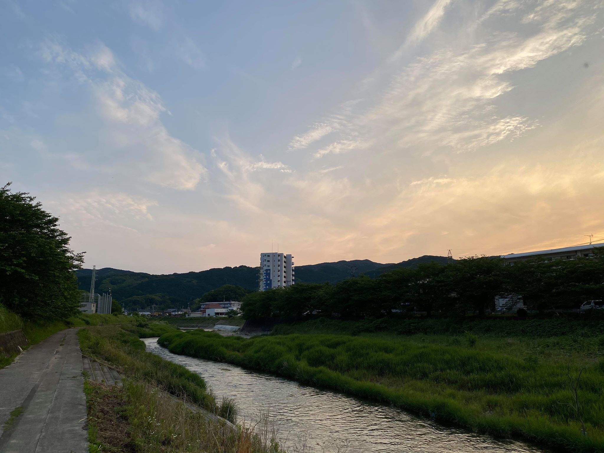 誹謗中傷を撲滅したい 2020.5.25_b0002156_2294397.jpg