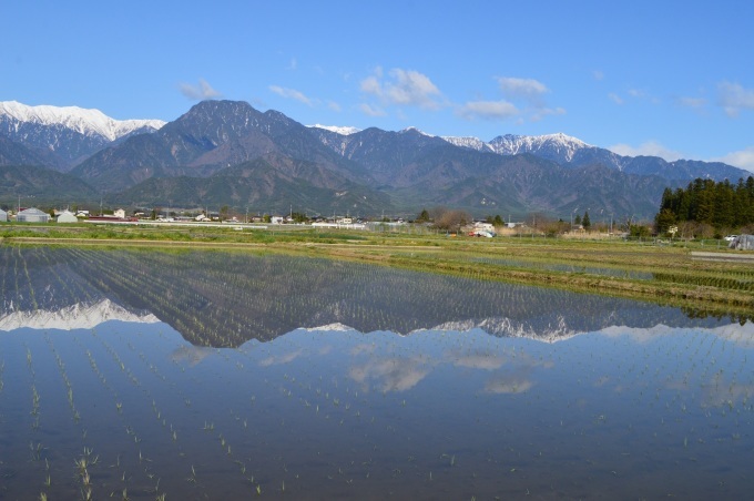山の酒・大雪渓 蔵元便り 2020 水無月_e0151758_12054008.jpg