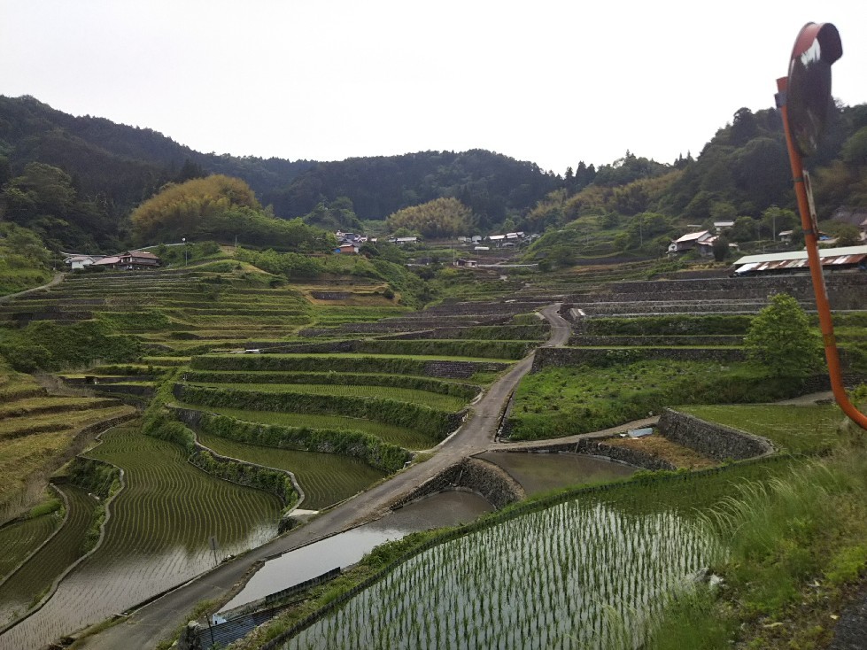 筒賀の大歳神社_a0060360_18273155.jpg