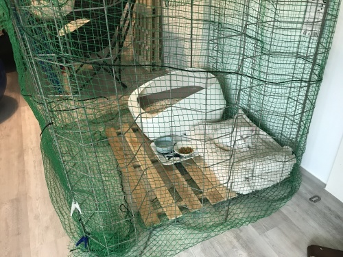 Nervous and angry._c0153966_09164401.jpeg