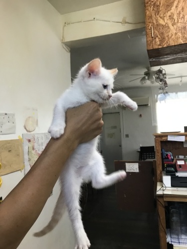 Nervous and angry._c0153966_09405337.jpeg