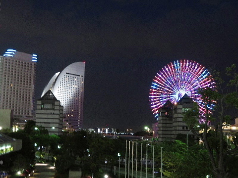 日本に降る雨にオピニオンはあるか。_b0141773_21555939.jpg