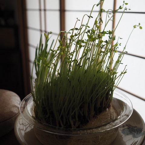 生きて帰れよ_b0322280_18313858.jpg