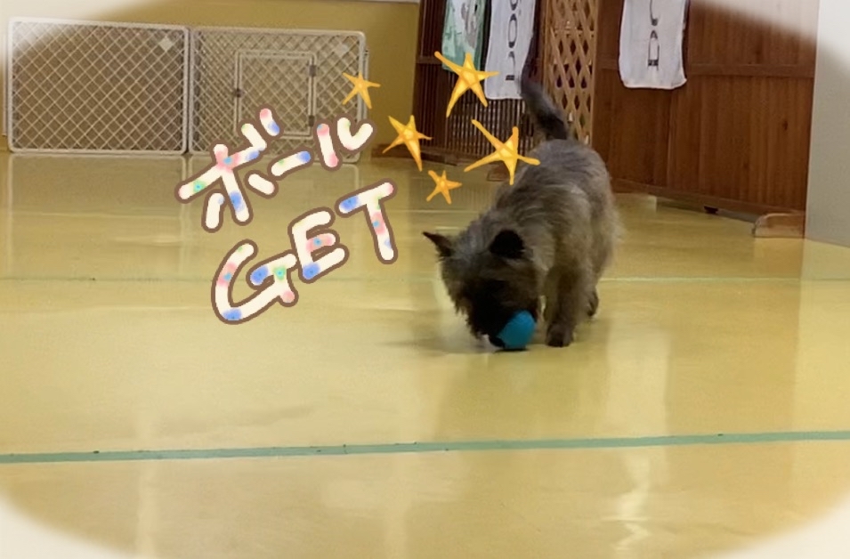お泊まり~_f0357682_12380864.jpg