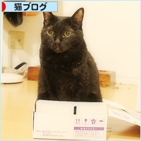 箱、使い方いろいろ_a0389088_19424119.jpg
