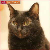 箱、使い方いろいろ_a0389088_19424135.jpg