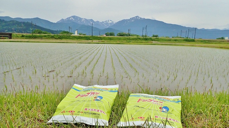 兼業農家は除草剤を散布しました_c0336902_20242664.jpg