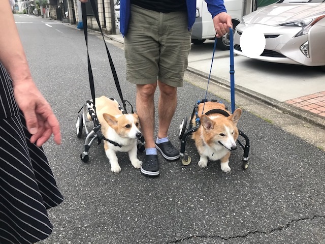 そして幸太くんのお見合いも!!_f0242002_15065028.jpg