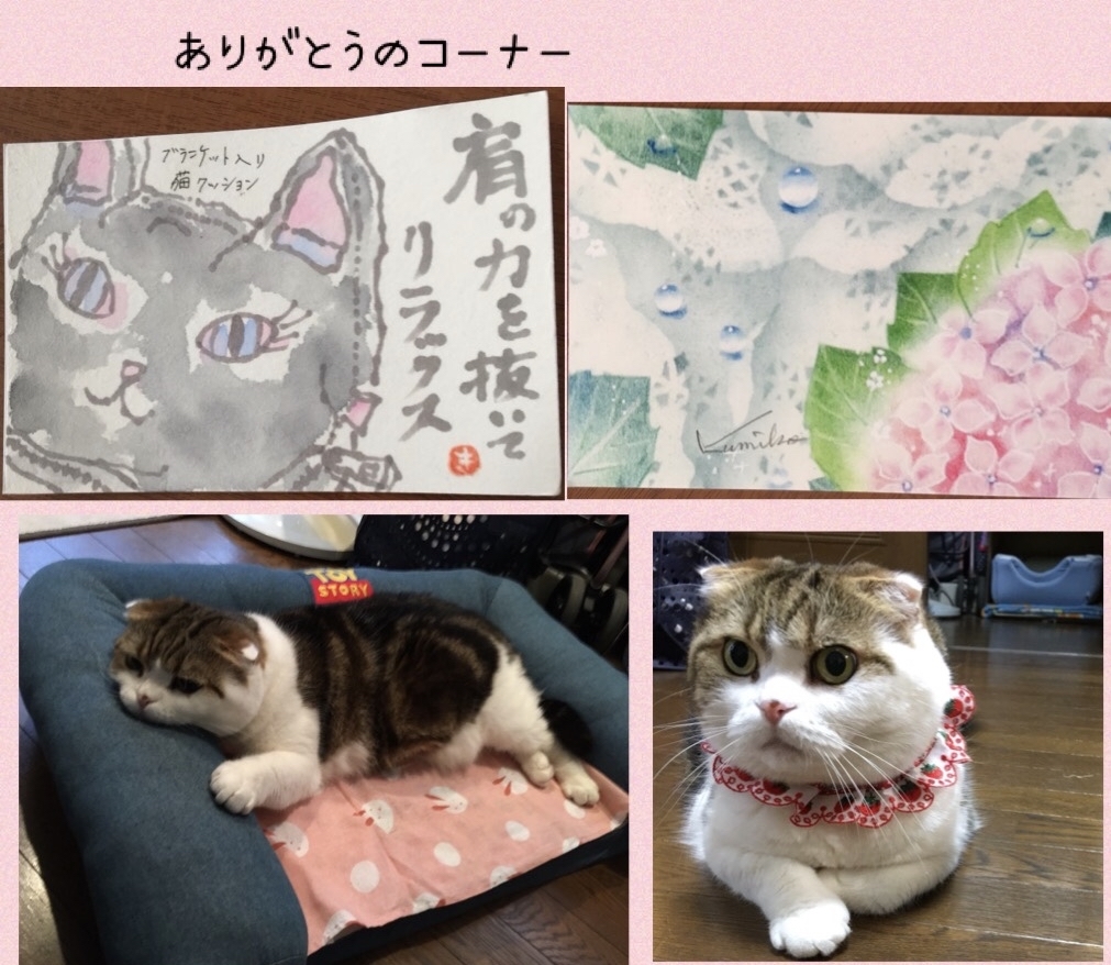 大切な時間 ふーちゃん ひめちゃん_f0375804_07521424.jpg