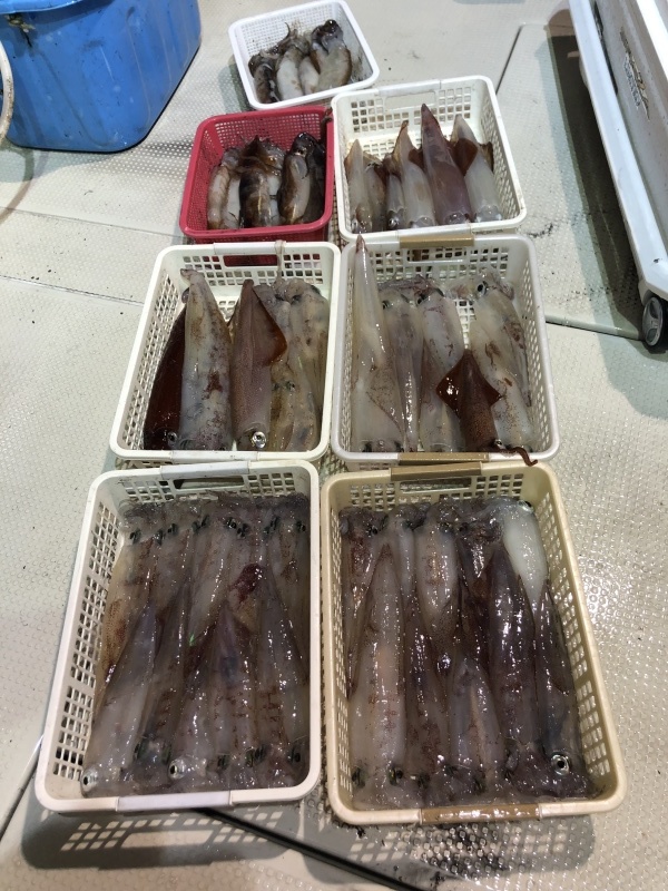 6月の釣果_b0282208_23281906.jpeg