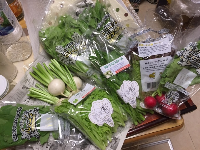 アーユルヴェーダ 身体と血液のph 野菜の重要性_c0180209_13302444.jpeg