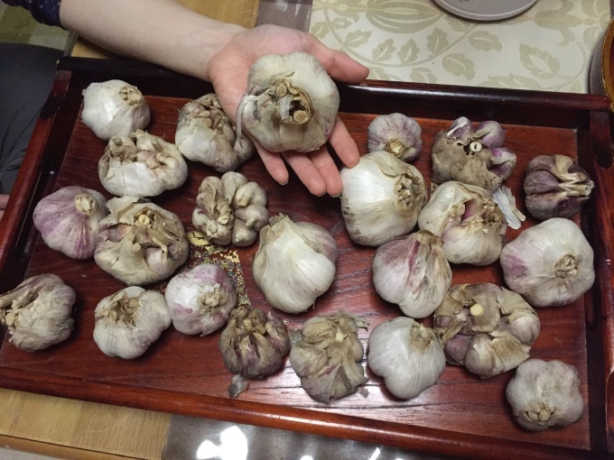 アーユルヴェーダ 身体と血液のph 野菜の重要性_c0180209_13310438.jpeg