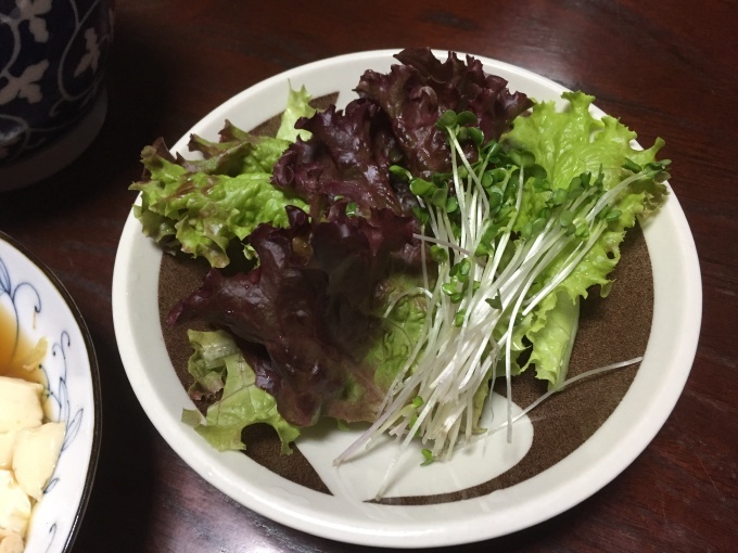 アーユルヴェーダ 身体と血液のph 野菜の重要性_c0180209_13322979.jpeg